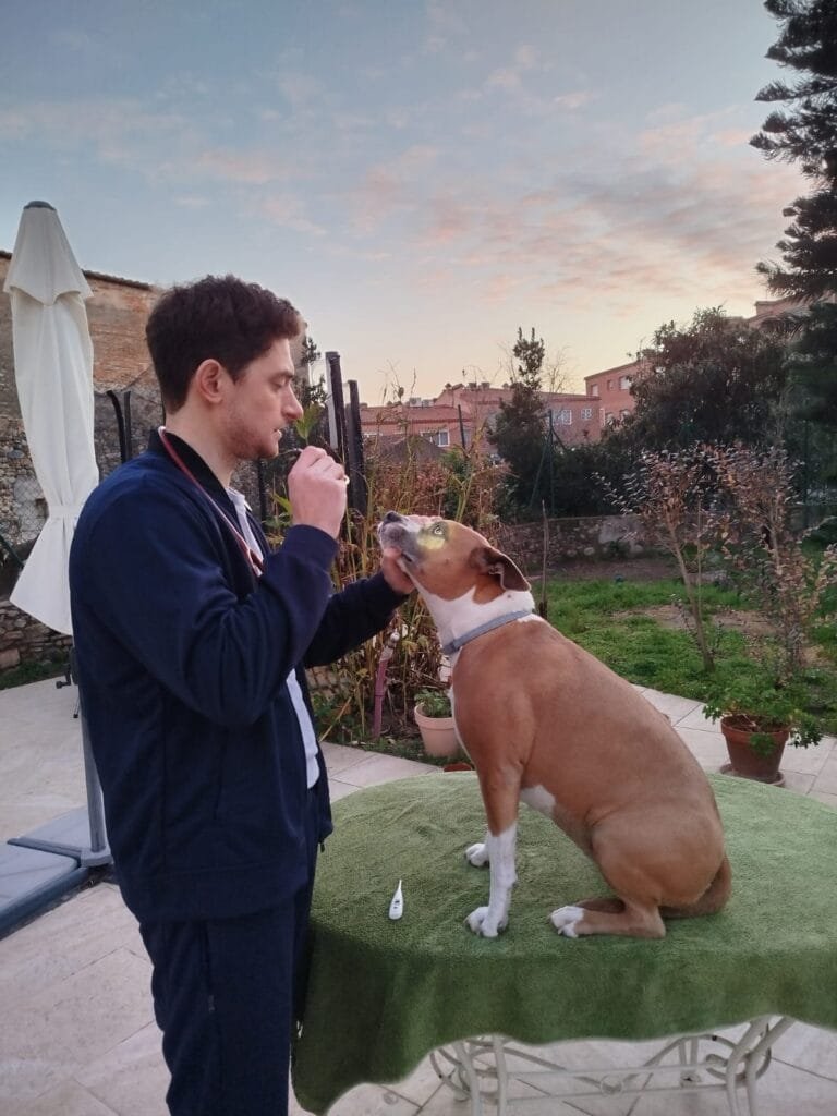 Veterinario a domicilio en Tarragona