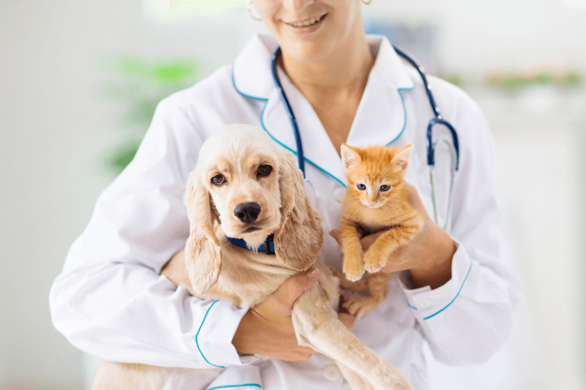 Veterinario a domicilio en Baix Camp, Alt Camp y Tarragona: Cuidamos de tu Mascota